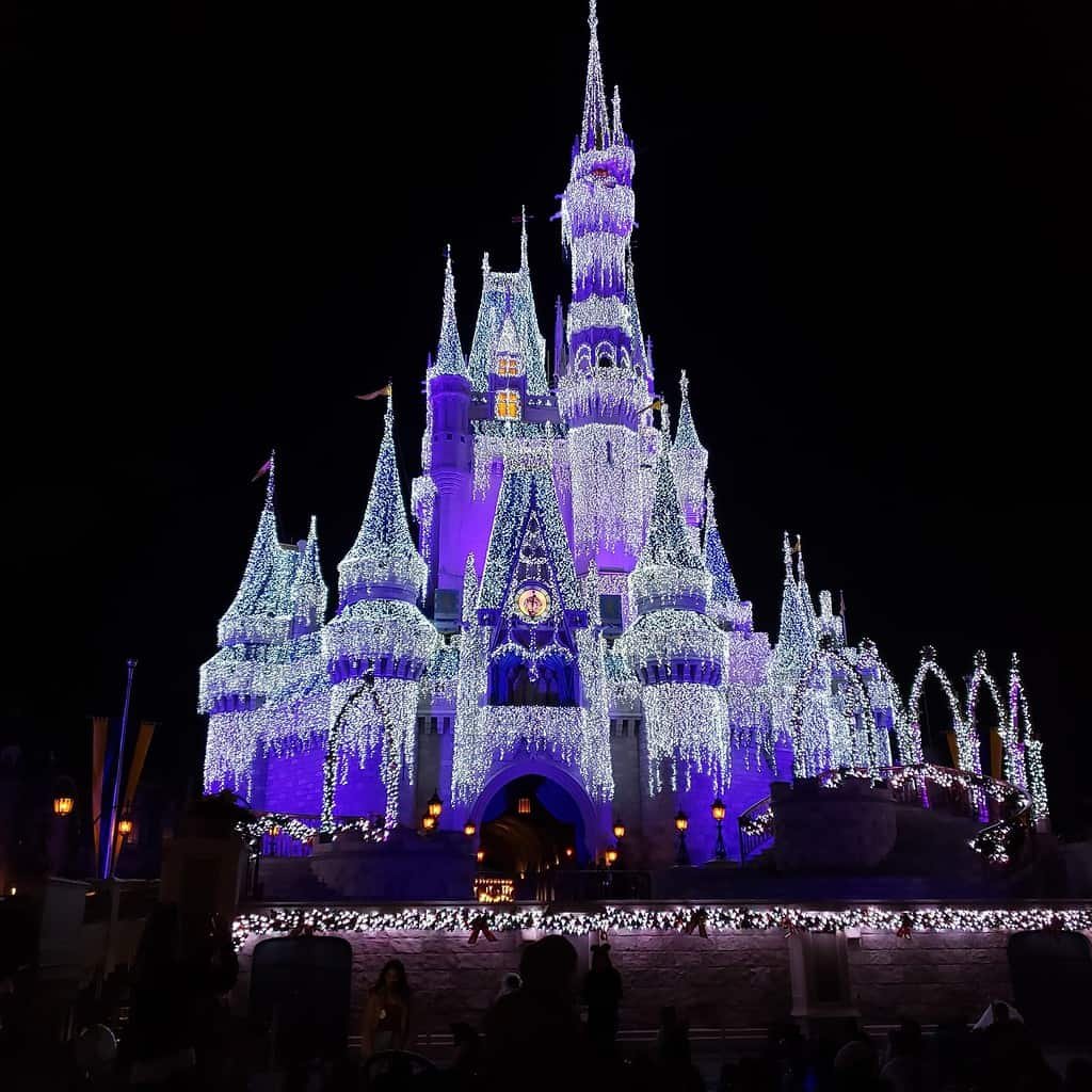 Disney in December