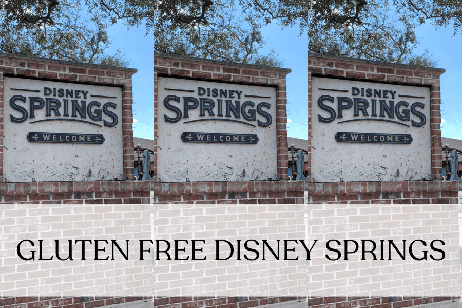 7 Best Gluten Free Disney Springs Restaurants Pixie Packing Travel Co