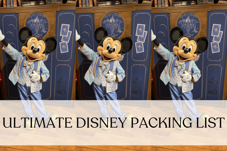 What to Pack for Disney (& What NOT to), The Ultimate Disney