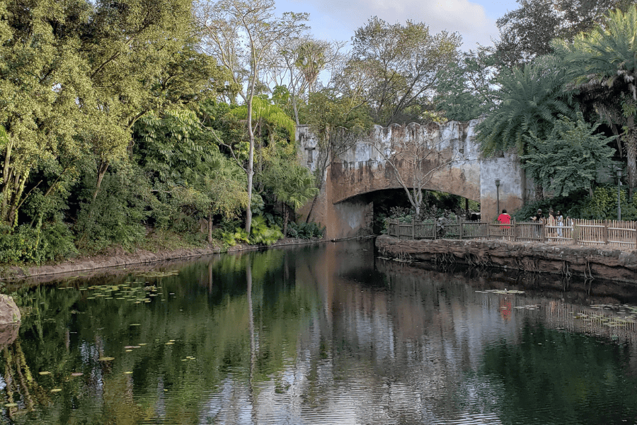River along pathway from Africa to Pandora in Animal Kingdom