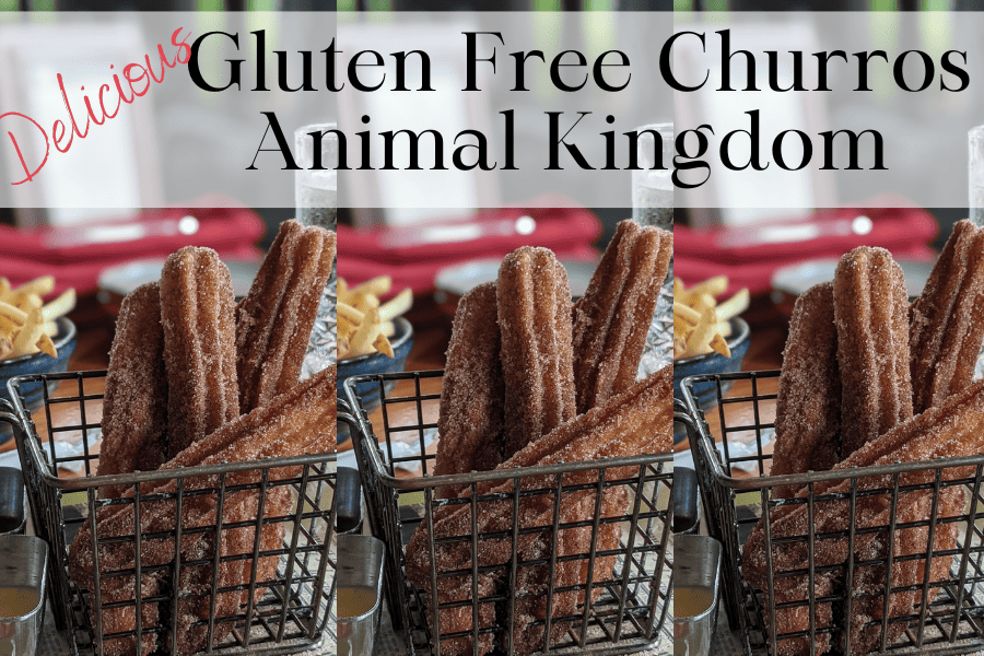 gluten free churros animal kindgom basket