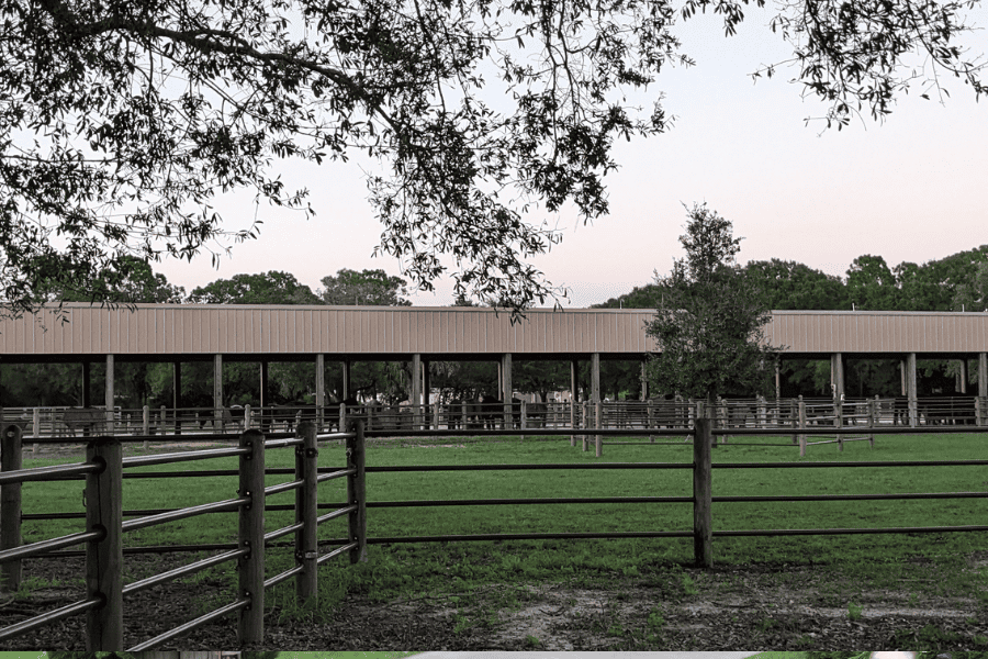 fort wilderness stable
