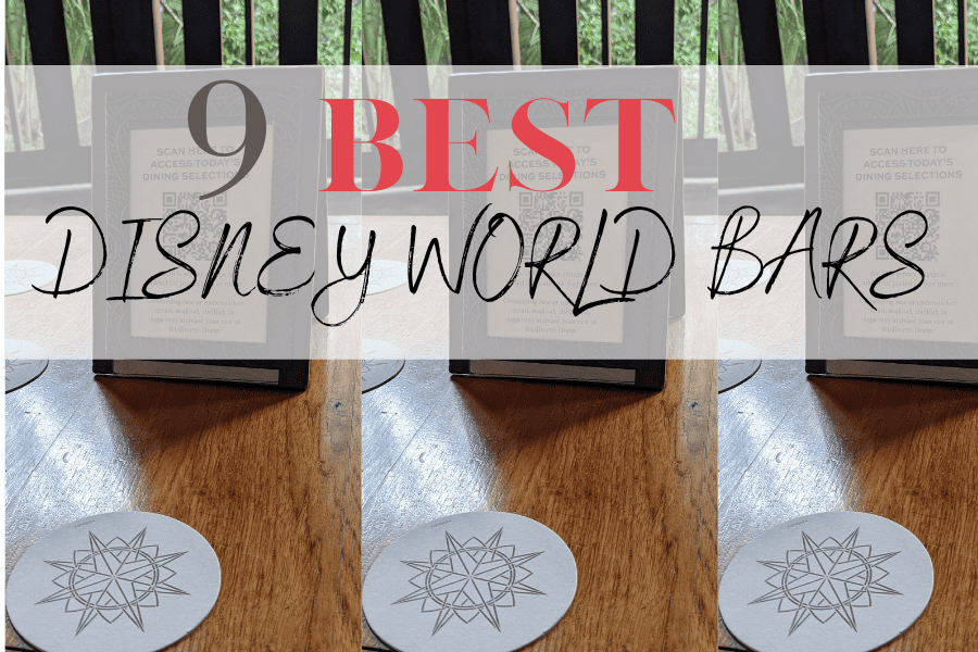Best Disney World Bars