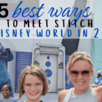 Stitch at Disney World
