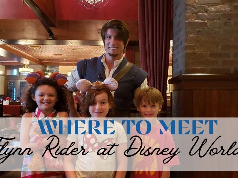 Where to Meet Flynn Rider and Rapunzel at Disney World