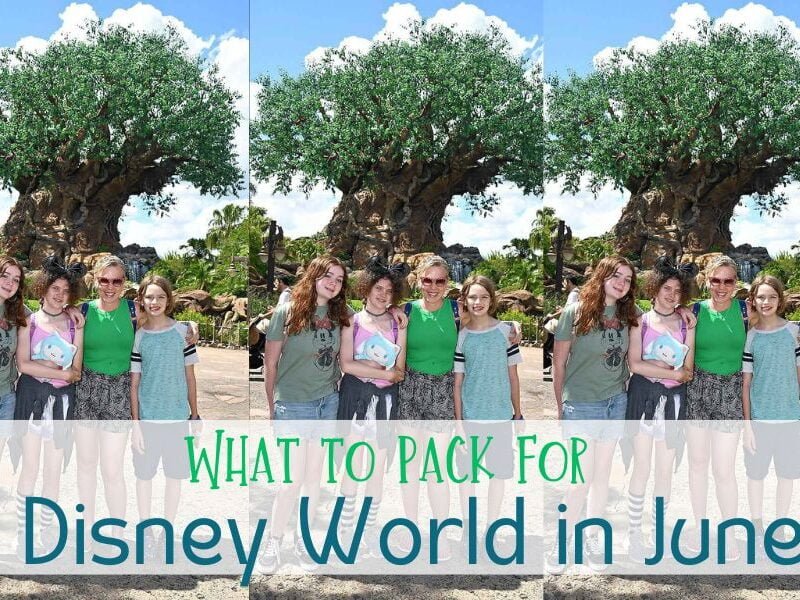 Complete List: What to Pack for Disney World in June!