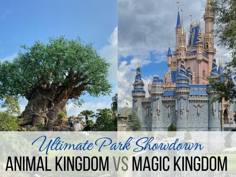 animal kingdom vs magic kingdom tree of life and Cinderella castle
