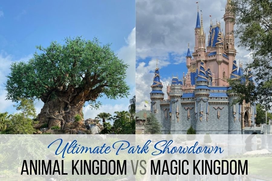 animal kingdom vs magic kingdom tree of life and Cinderella castle