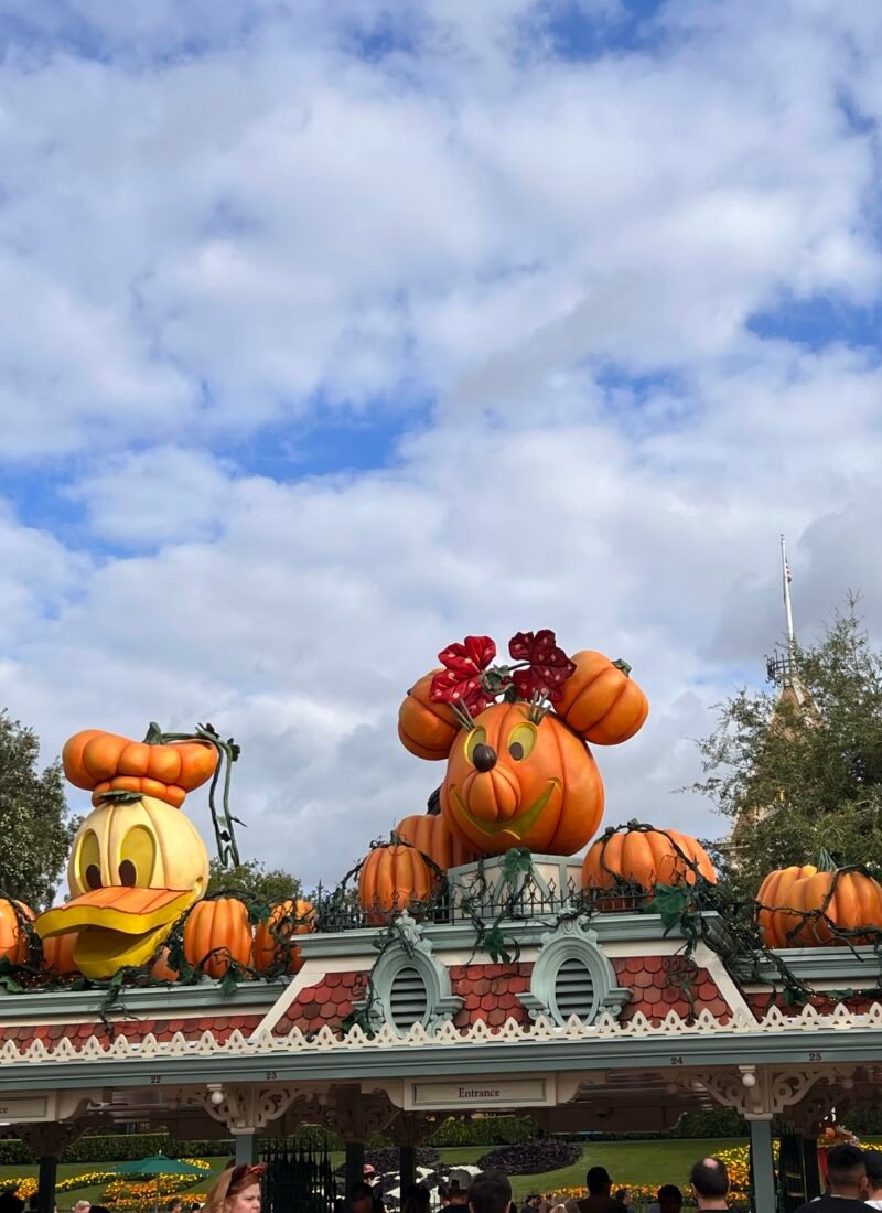 Disneyland Pumpkins at entrance