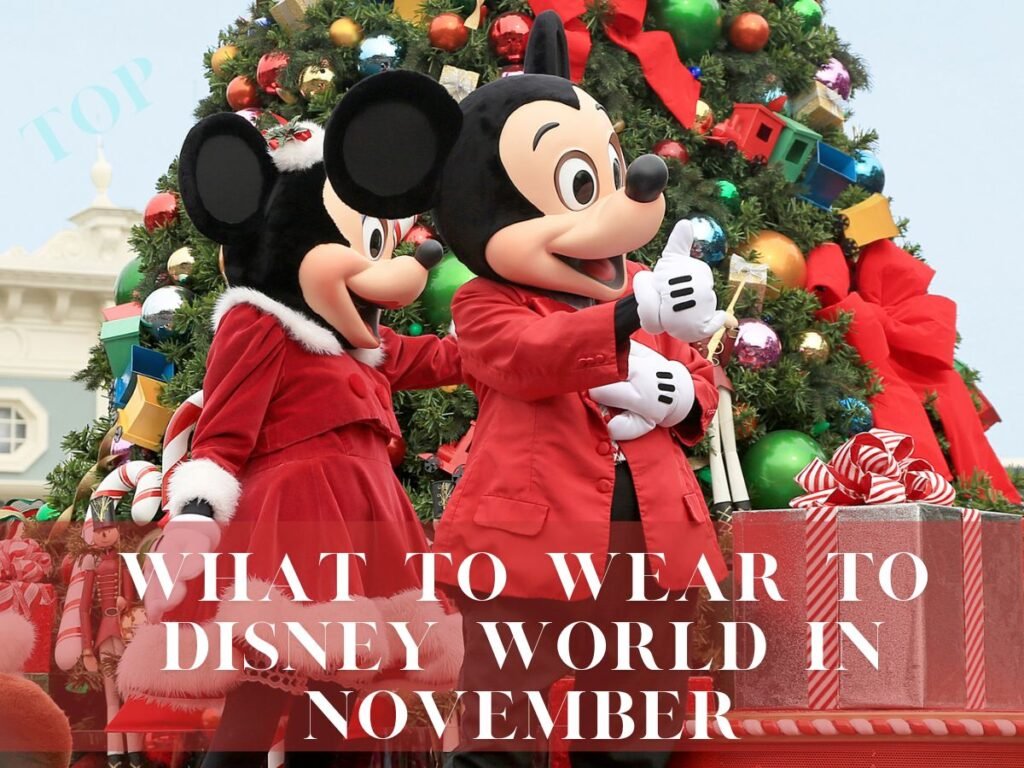 Mickey and Minnie Christmas Parade What to Wear to Disney World in November