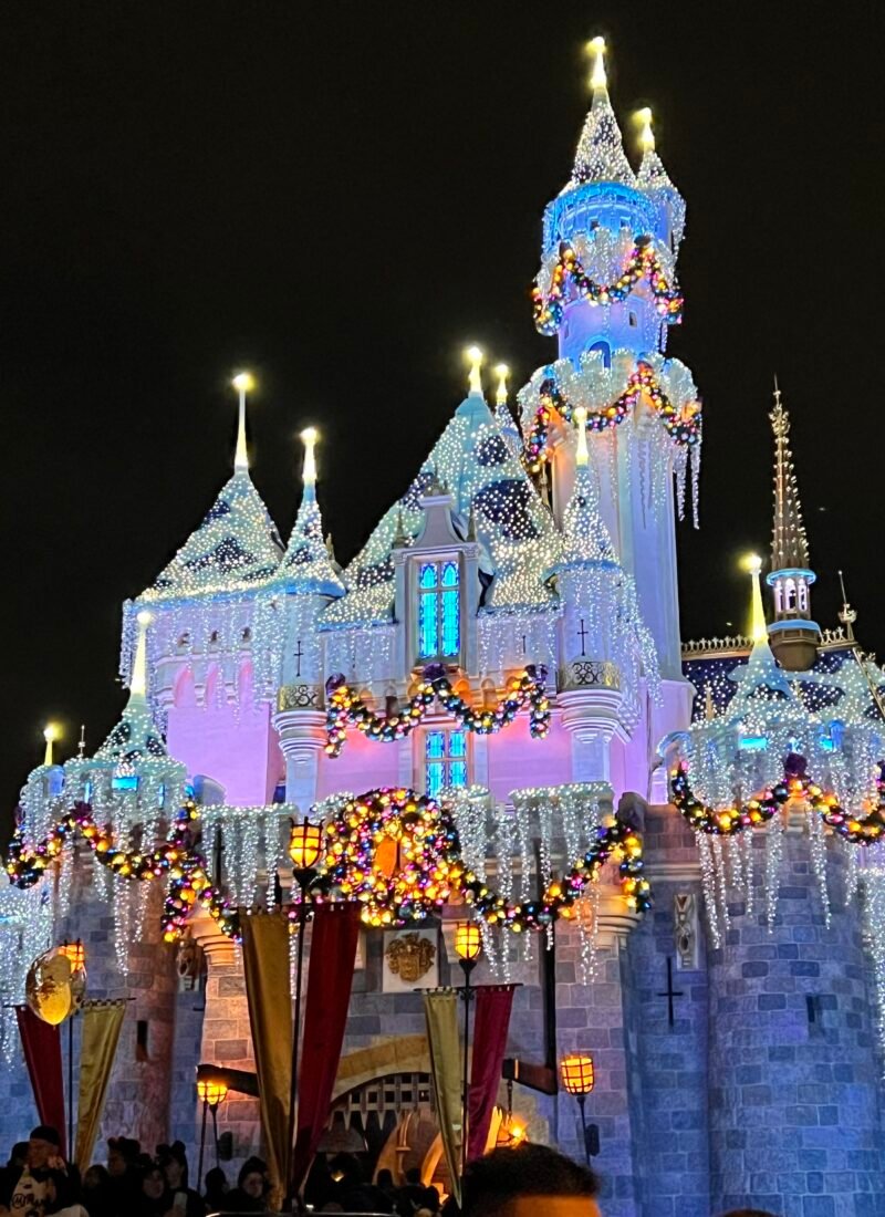 Ultimate Guide: What to Wear to Disneyland in November